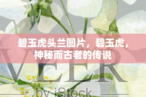 碧玉虎头兰图片，碧玉虎，神秘而古老的传说