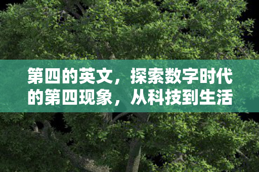 第四的英文,探索数字时代的第四现象,从科技到生活的全面解析 第四的英文,探索数字时代的第四现象,从科技到生活的全面解析