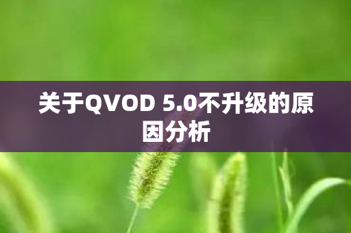 关于QVOD 5.0不升级的原因分析
