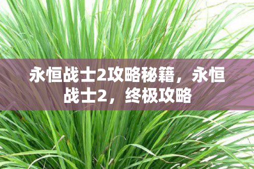 永恒战士2攻略秘籍,永恒战士2,终极攻略 永恒战士2攻略秘籍,永恒战士2,终极攻略