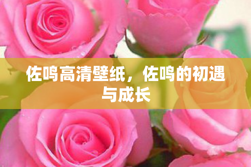 佐鸣高清壁纸，佐鸣的初遇与成长