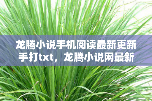 龙腾小说手机阅读最新更新手打txt，龙腾小说网最新网址，探索网络文学的无限可能