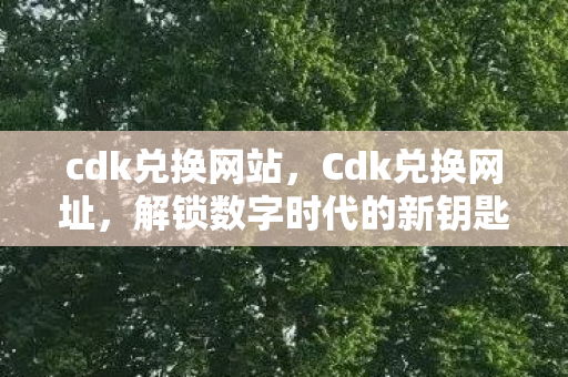 cdk兑换网站，Cdk兑换网址，解锁数字时代的新钥匙