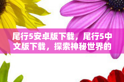 尾行5安卓版下载，尾行5中文版下载，探索神秘世界的冒险之旅