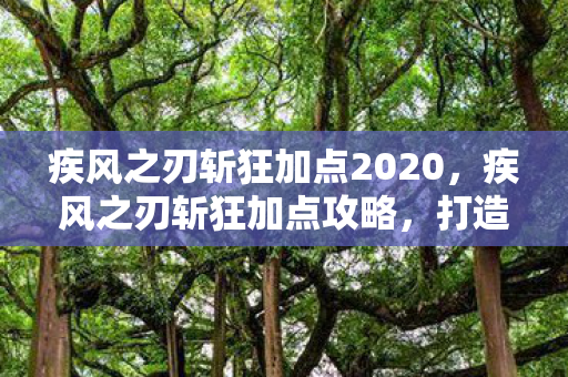 疾风之刃斩狂加点2020，疾风之刃斩狂加点攻略，打造最强战斗狂人