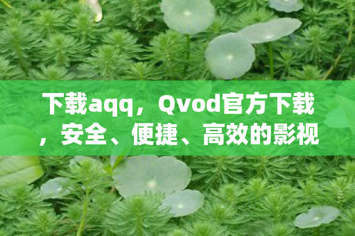 下载aqq,Qvod官方下载,安全、便捷、高效的影视播放体验 下载aqq,Qvod官方下载,安全、便捷、高效的影视播放体验