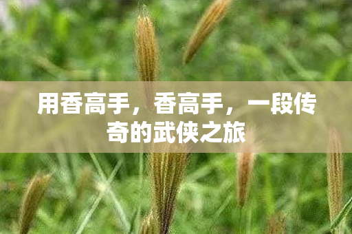 用香高手,香高手,一段传奇的武侠之旅 用香高手,香高手,一段传奇的武侠之旅