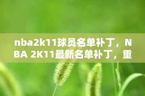 nba2k11球员名单补丁,NBA 2K11最新名单补丁,重温经典,再战辉煌 nba2k11球员名单补丁,NBA 2K11最新名单补丁,重温经典,再战辉煌