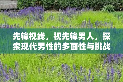 先锋视线,视先锋男人,探索现代男性的多面性与挑战 先锋视线,视先锋男人,探索现代男性的多面性与挑战