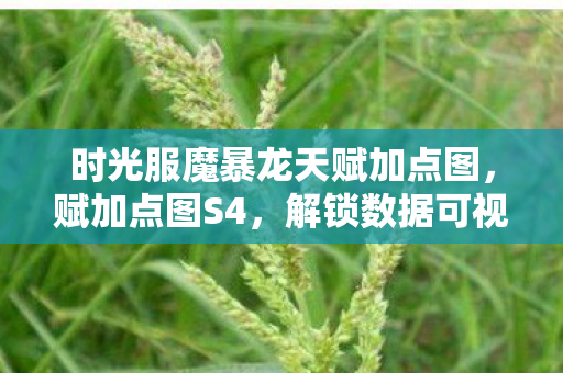 时光服魔暴龙天赋加点图，赋加点图S4，解锁数据可视化的新维度