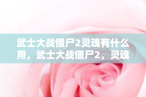 武士大战僵尸2灵魂有什么用,武士大战僵尸2,灵魂之战的觉醒 武士大战僵尸2灵魂有什么用,武士大战僵尸2,灵魂之战的觉醒