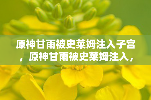 原神甘雨被史莱姆注入子宫图片