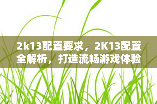 2K13配置全解析图片