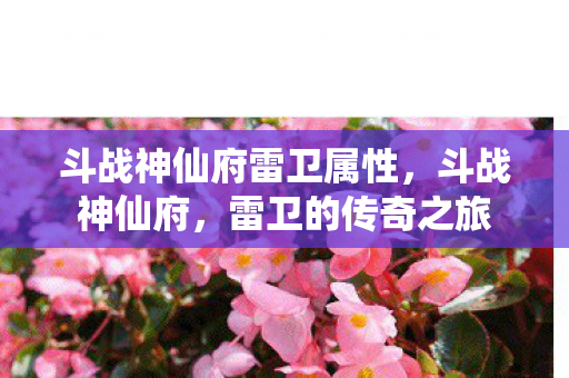 斗战神仙府雷卫属性，斗战神仙府，雷卫的传奇之旅