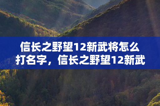 信长之野望12新武将怎么打名字,信长之野望12新武将,探索历史与战略的交汇点 信长之野望12新武将怎么打名字,信长之野望12新武将,探索历史与战略的交汇点