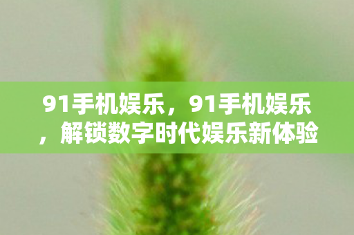 91手机娱乐，91手机娱乐，解锁数字时代娱乐新体验