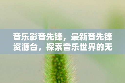 音乐影音先锋,最新音先锋资源台,探索音乐世界的无限可能 音乐影音先锋,最新音先锋资源台,探索音乐世界的无限可能