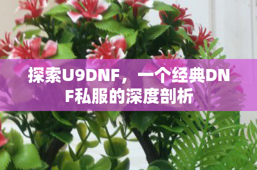 探索U9DNF,一个经典DNF私服的深度剖析 探索U9DNF,一个经典DNF私服的深度剖析