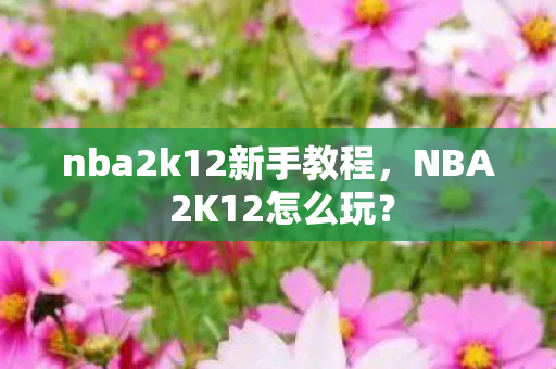nba2k12新手教程，NBA 2K12怎么玩？