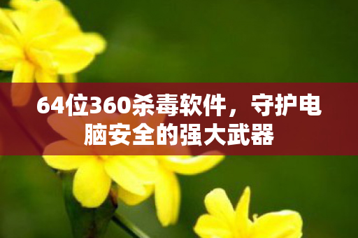 64位360杀毒软件，守护电脑安全的强大武器