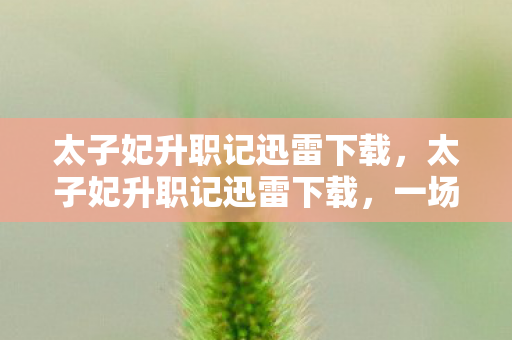 太子妃升职记迅雷下载，太子妃升职记迅雷下载，一场跨越时空的浪漫喜剧