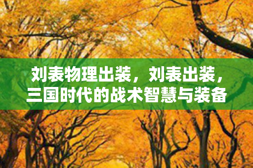 刘表物理出装,刘表出装,三国时代的战术智慧与装备选择 刘表物理出装,刘表出装,三国时代的战术智慧与装备选择