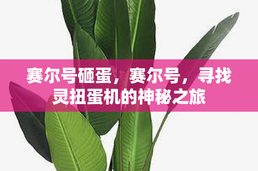 赛尔号砸蛋,赛尔号,寻找灵扭蛋机的神秘之旅 赛尔号砸蛋,赛尔号,寻找灵扭蛋机的神秘之旅