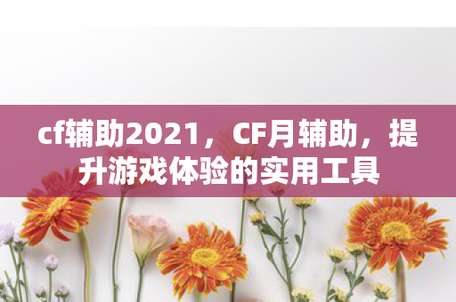 cf辅助2021,CF月辅助,提升游戏体验的实用工具 cf辅助2021,CF月辅助,提升游戏体验的实用工具
