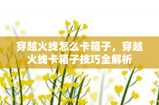 穿越火线怎么卡箱子,穿越火线卡箱子技巧全解析 穿越火线怎么卡箱子,穿越火线卡箱子技巧全解析