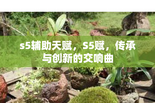 s5辅助天赋,S5赋,传承与创新的交响曲 s5辅助天赋,S5赋,传承与创新的交响曲