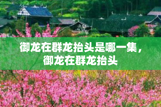 御龙在群龙抬头是哪一集，御龙在群龙抬头