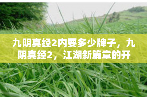 九阴真经2内要多少牌子，九阴真经2，江湖新篇章的开启