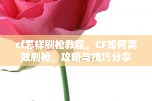 cf怎样刷枪教程，CF如何高效刷枪，攻略与技巧分享