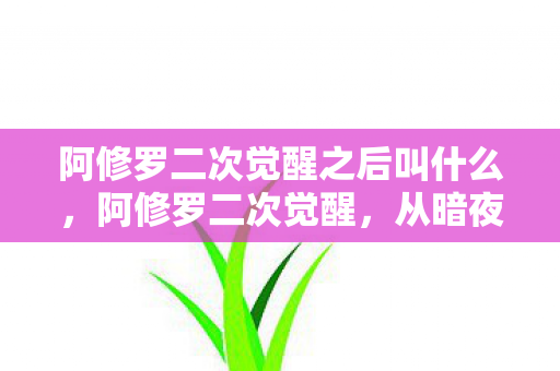 阿修罗二次觉醒之后叫什么，阿修罗二次觉醒，从暗夜到光明的蜕变