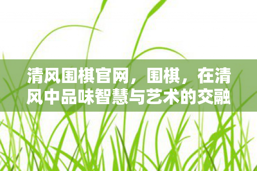 清风围棋官网，围棋，在清风中品味智慧与艺术的交融