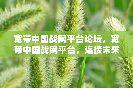 宽带中国战网平台论坛，宽带中国战网平台，连接未来的数字桥梁