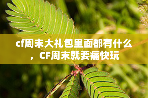 cf周末大礼包里面都有什么,CF周末就要痛快玩 cf周末大礼包里面都有什么,CF周末就要痛快玩