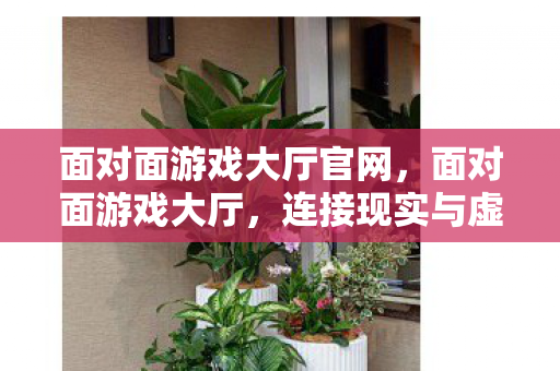 面对面游戏大厅官网，面对面游戏大厅，连接现实与虚拟的桥梁