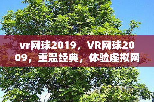 vr网球2019，VR网球2009，重温经典，体验虚拟网球的魅力