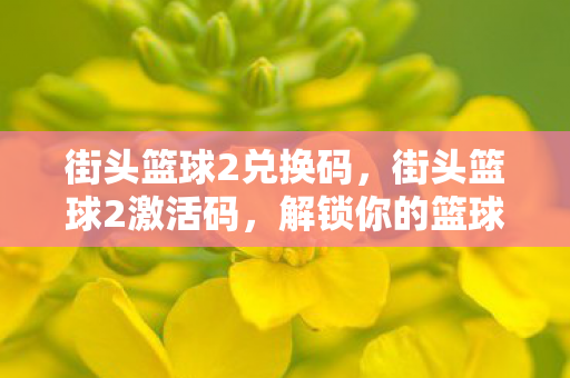 街头篮球2兑换码，街头篮球2激活码，解锁你的篮球梦想
