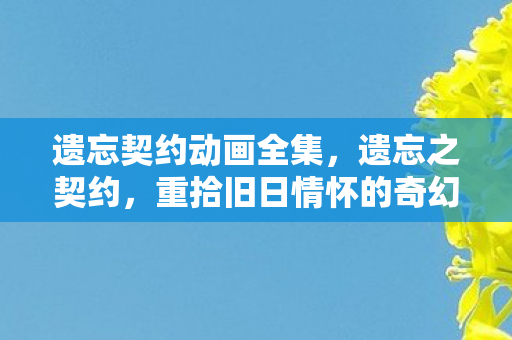 遗忘契约动画全集，遗忘之契约，重拾旧日情怀的奇幻之旅
