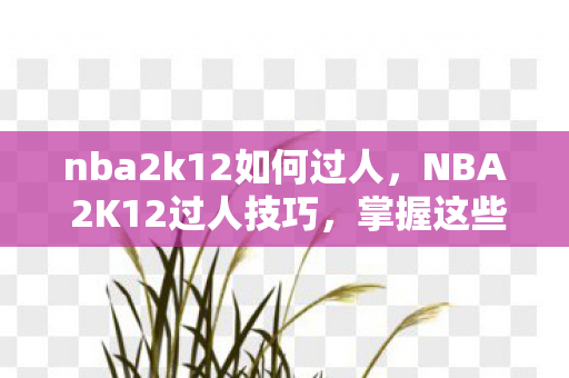 nba2k12如何过人,NBA 2K12过人技巧,掌握这些技巧,让你在球场上如虎添翼 nba2k12如何过人,NBA 2K12过人技巧,掌握这些技巧,让你在球场上如虎添翼
