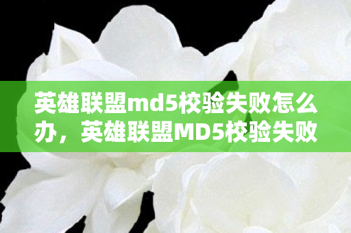 英雄联盟md5校验失败怎么办，英雄联盟MD5校验失败，如何快速解决游戏更新问题
