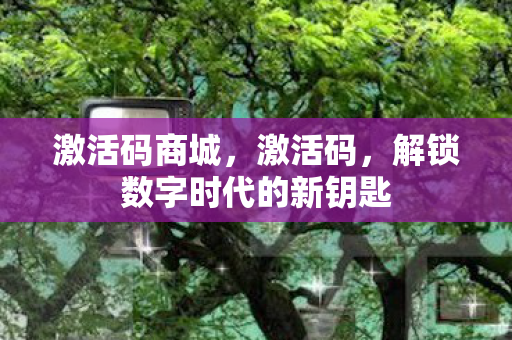 激活码商城，激活码，解锁数字时代的新钥匙