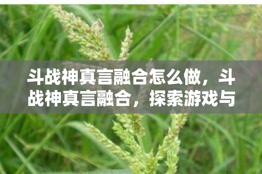 斗战神真言融合怎么做，斗战神真言融合，探索游戏与文化的深度交汇