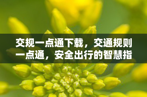 交规一点通下载,交通规则一点通,安全出行的智慧指南 交规一点通下载,交通规则一点通,安全出行的智慧指南