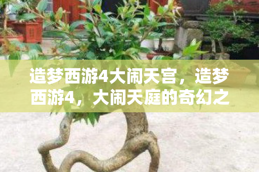 造梦西游4大闹天宫，造梦西游4，大闹天庭的奇幻之旅