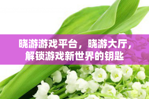 晓游游戏平台，晓游大厅，解锁游戏新世界的钥匙