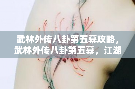 武林外传八卦第五幕攻略，武林外传八卦第五幕，江湖风云再起，谁将问鼎武林？