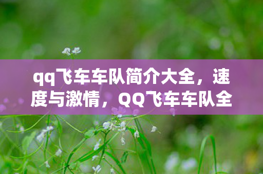 qq飞车车队简介大全,速度与激情,QQ飞车车队全解析 qq飞车车队简介大全,速度与激情,QQ飞车车队全解析